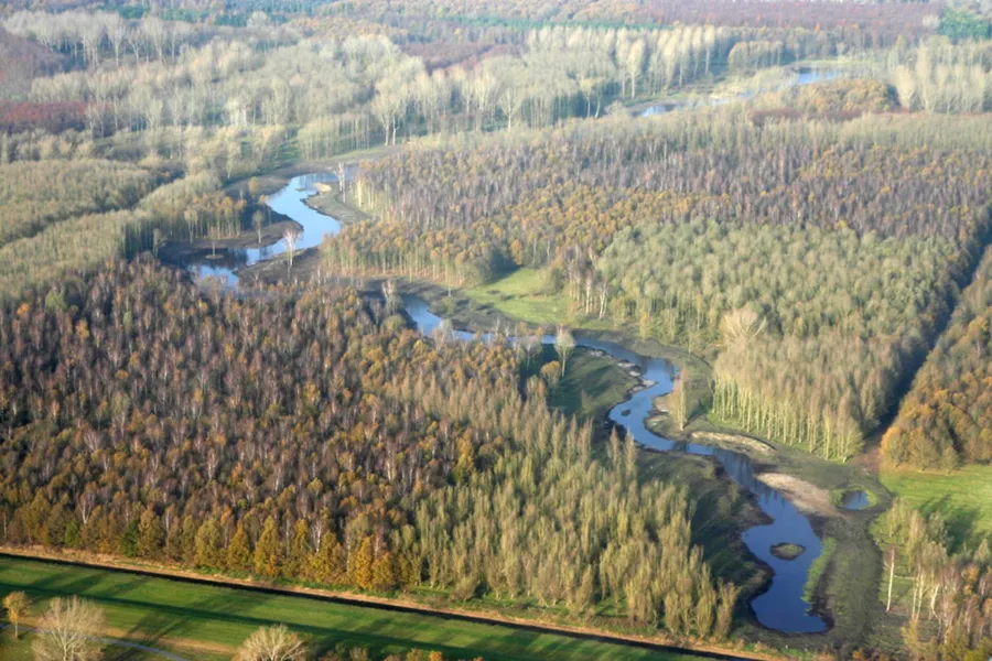 Omgeving Naturistencamping Flevo Natuur Nederland 13