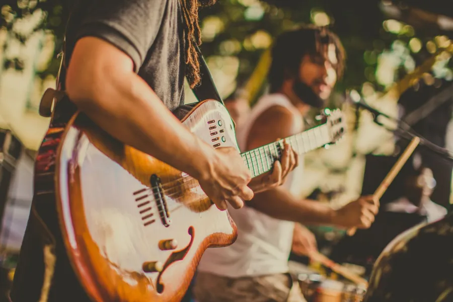 Events Flevo Natuur muziekavond