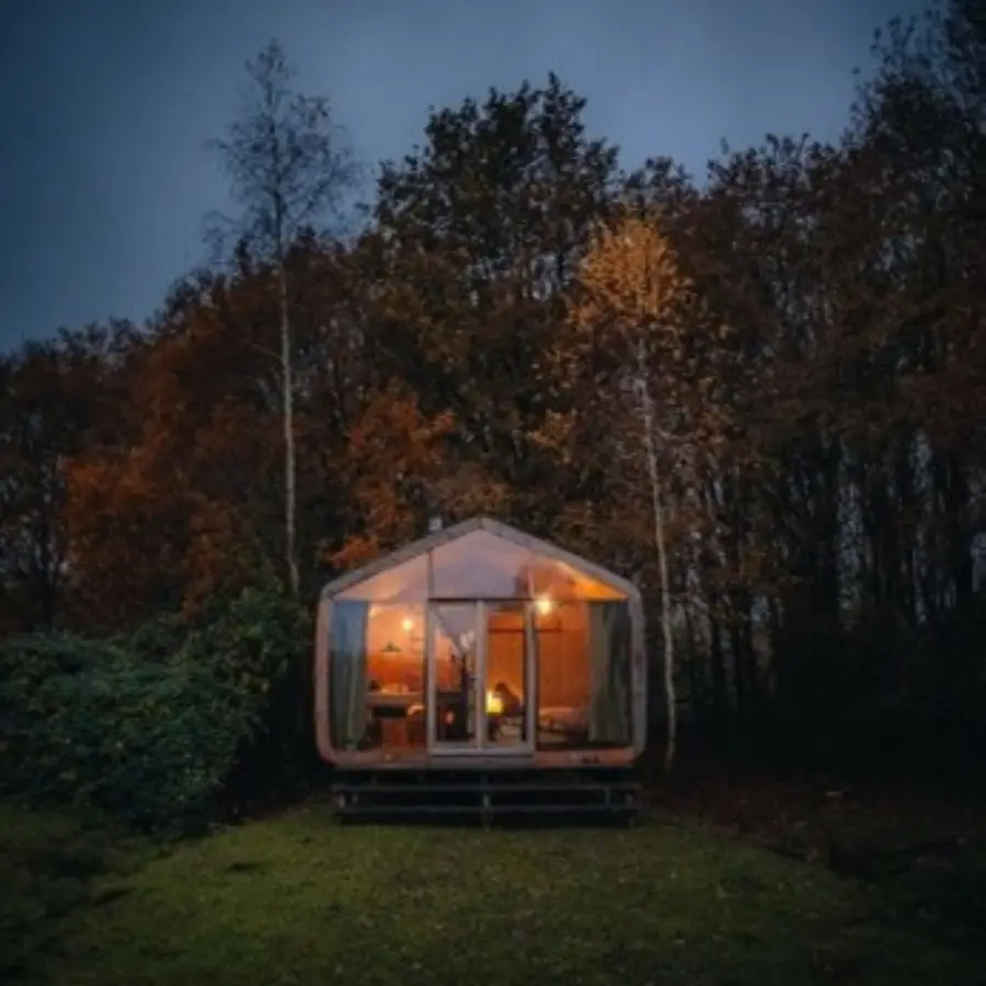 Nieuwsbrief december 2025 2