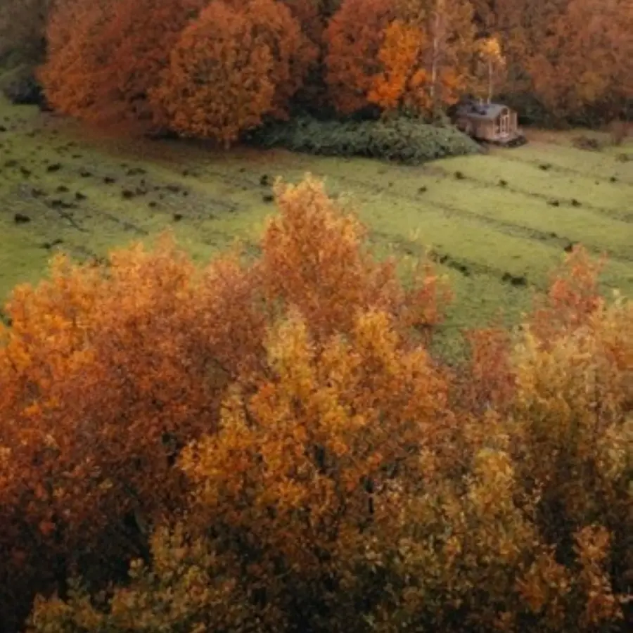 Nieuwsbrief december 2025 3