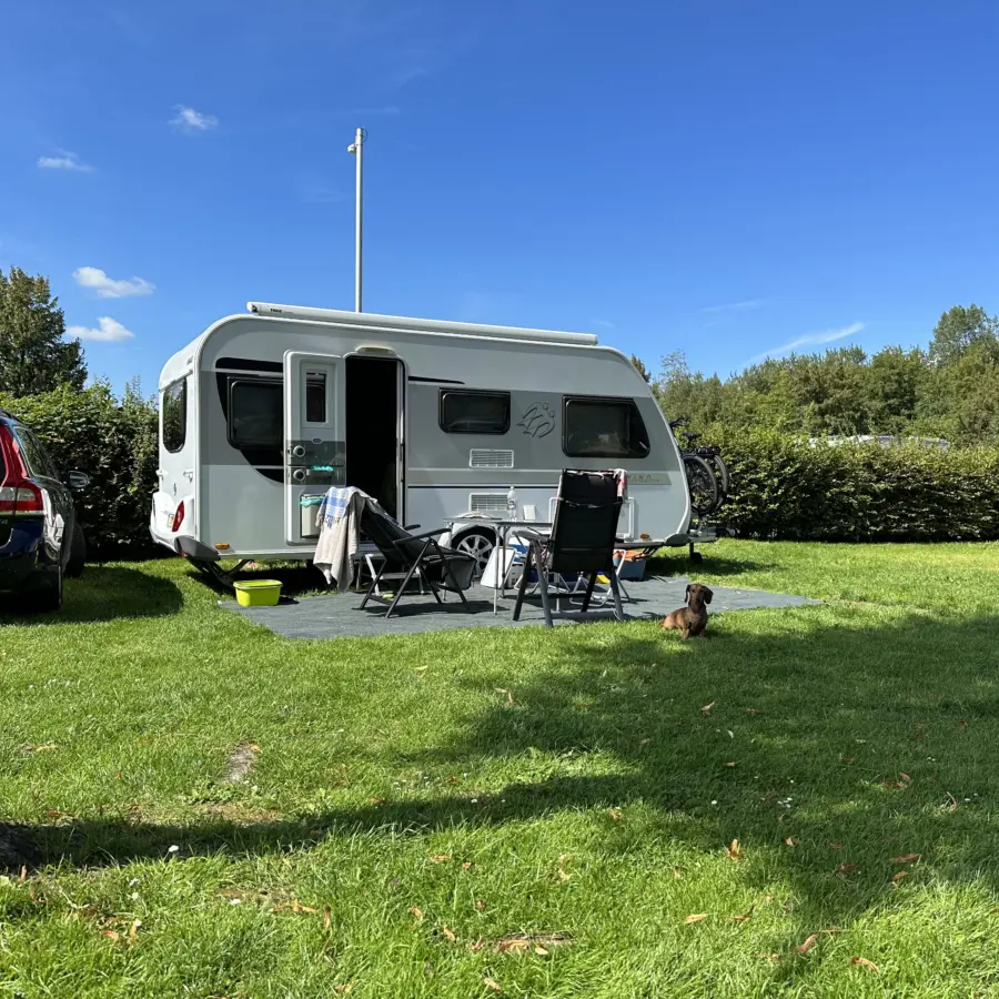 Naturistencamping Nederland Flevo Natuur hond 1