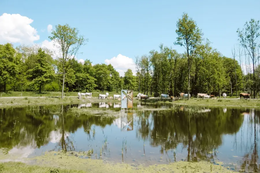Omgeving Naturistencamping Flevo Natuur Nederland 1