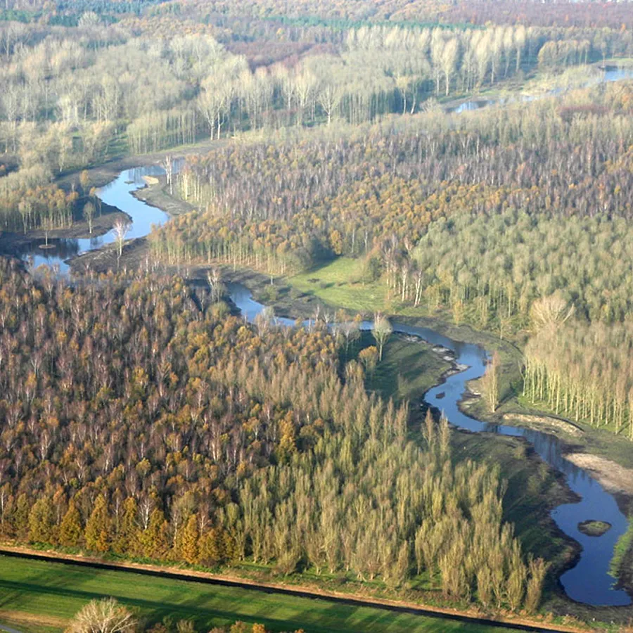 Omgeving Naturistencamping Flevo Natuur Nederland 13